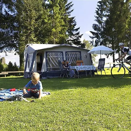 Vulkaneifel Type D غيرولشتاين