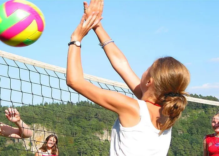 Vulkaneifel Type D Resort