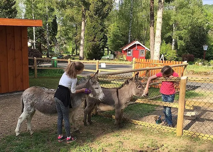 Vulkaneifel Type D Gerolstein