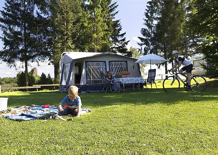 Vulkaneifel Type D Gerolstein